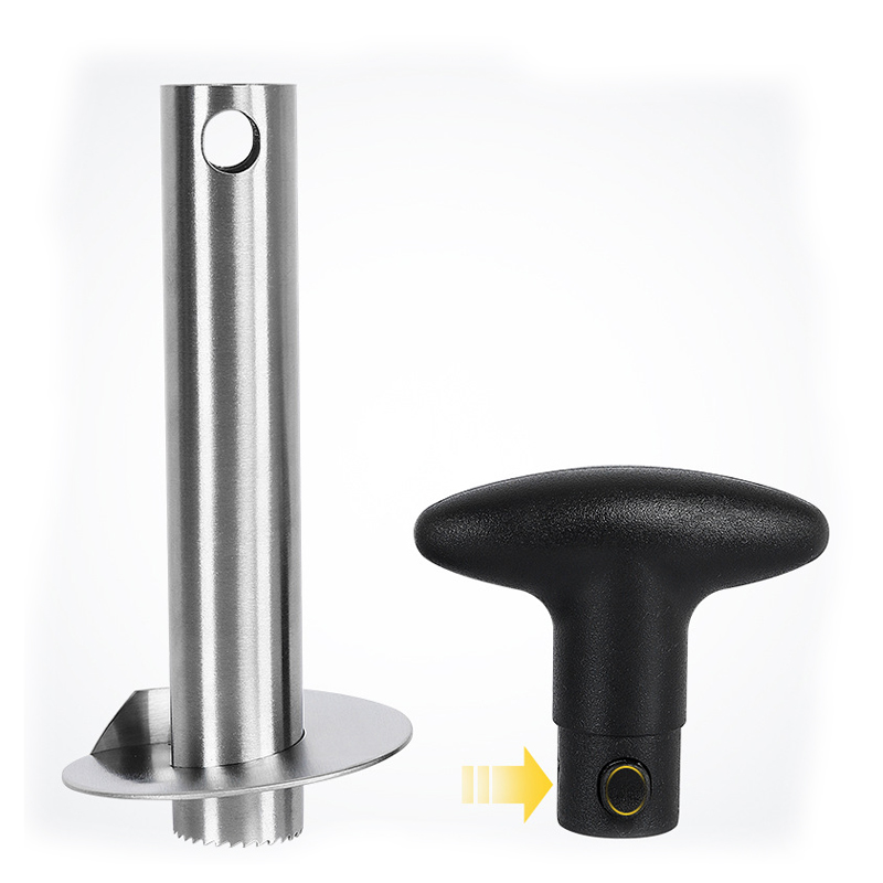 1Pc Stainless Steel Easy to us - Pineapple Corer Slicer ulasan dan harga